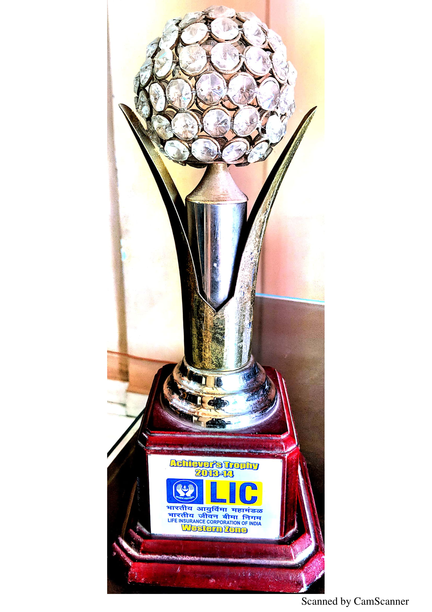 Achievers Trophy 2013-14